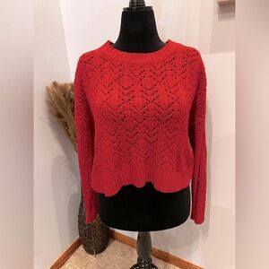 AE Cropped Pointelle Crew Neck Sweater